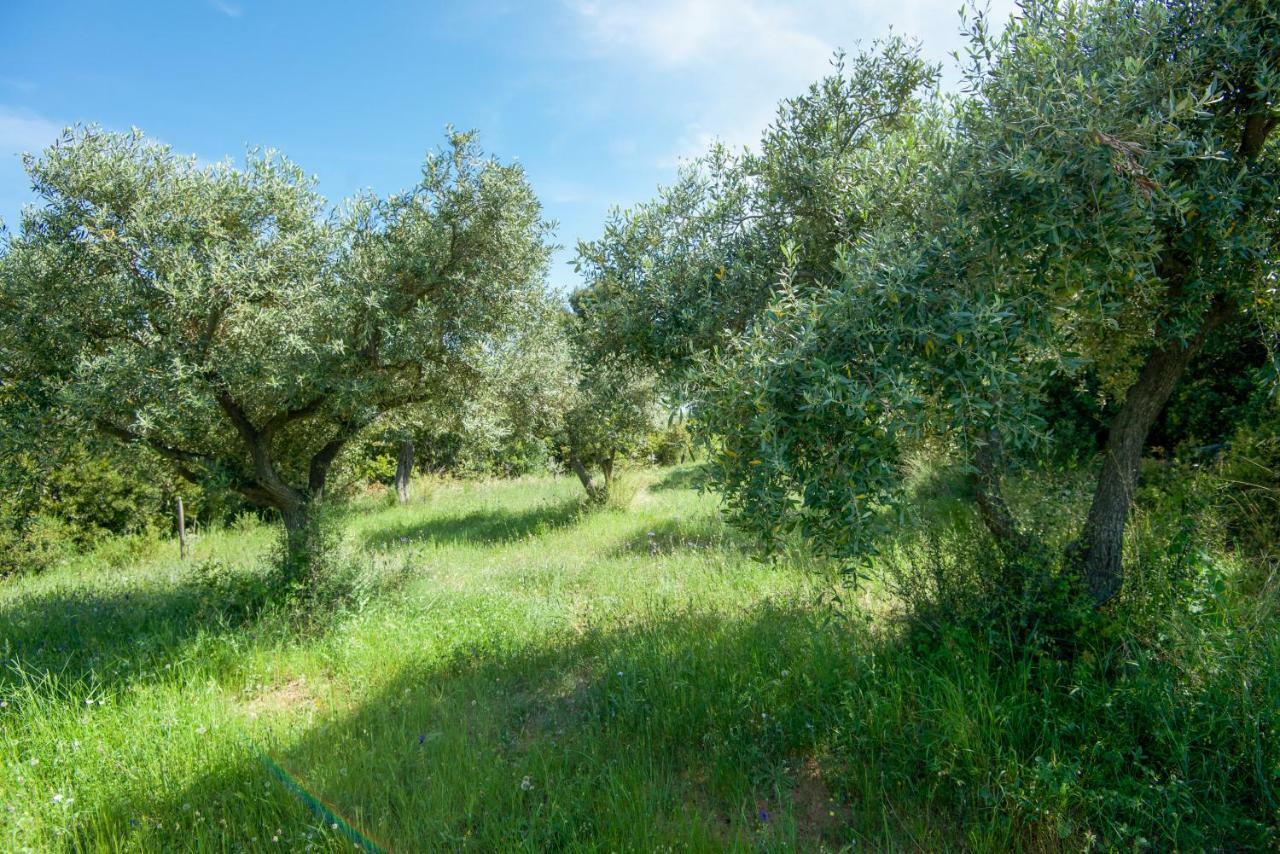 Avaton Farm Villa Ouranoupoli Eksteriør billede